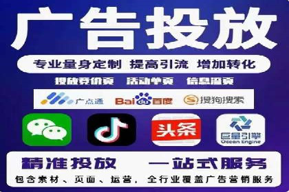 某企业通过SEM实现品牌与销售双增长的案例